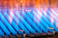 Ridge gas fired boilers